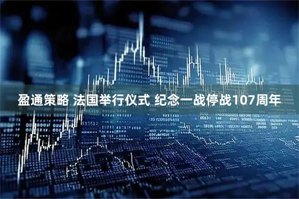 盈通策略 法国举行仪式 纪念一战停战107周年