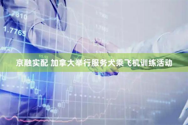 京融实配 加拿大举行服务犬乘飞机训练活动