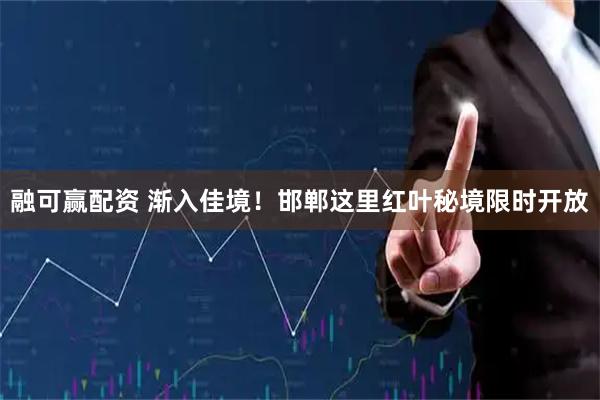 融可赢配资 渐入佳境！邯郸这里红叶秘境限时开放