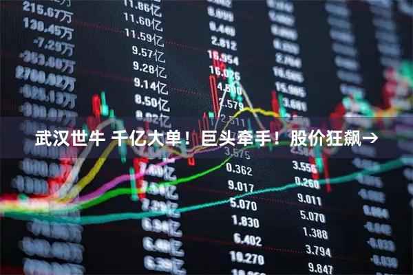 武汉世牛 千亿大单！巨头牵手！股价狂飙→