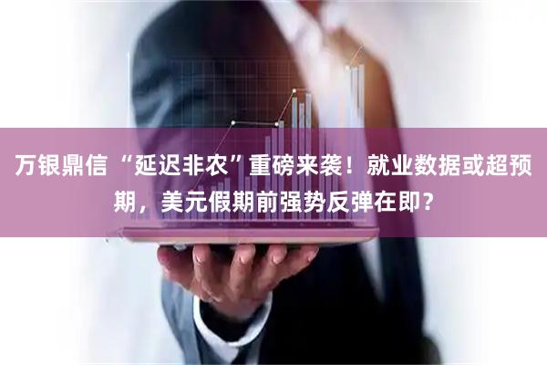 万银鼎信 “延迟非农”重磅来袭！就业数据或超预期，美元假期前强势反弹在即？