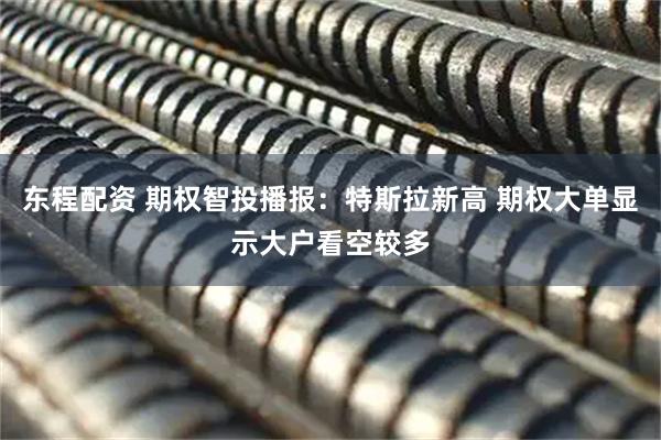 东程配资 期权智投播报：特斯拉新高 期权大单显示大户看空较多