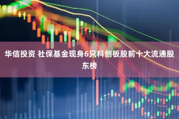 华信投资 社保基金现身6只科创板股前十大流通股东榜